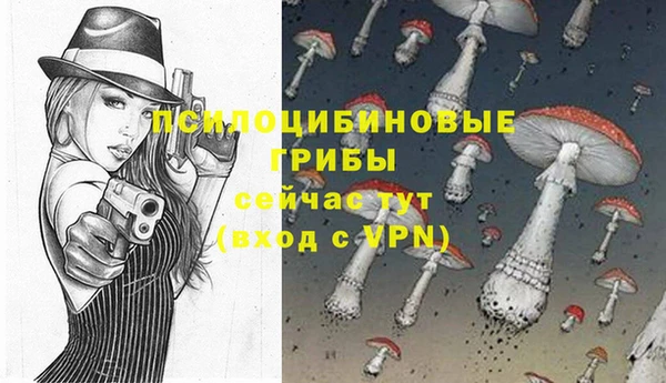 гидропоника Медногорск