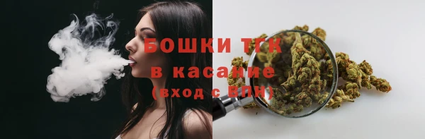 стаф Медвежьегорск