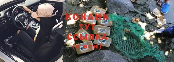 гидропоника Медногорск