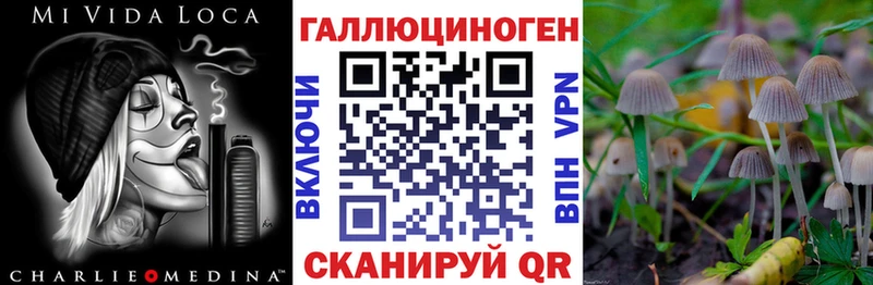 где найти наркотики  Фролово  Галлюциногенные грибы GOLDEN TEACHER 