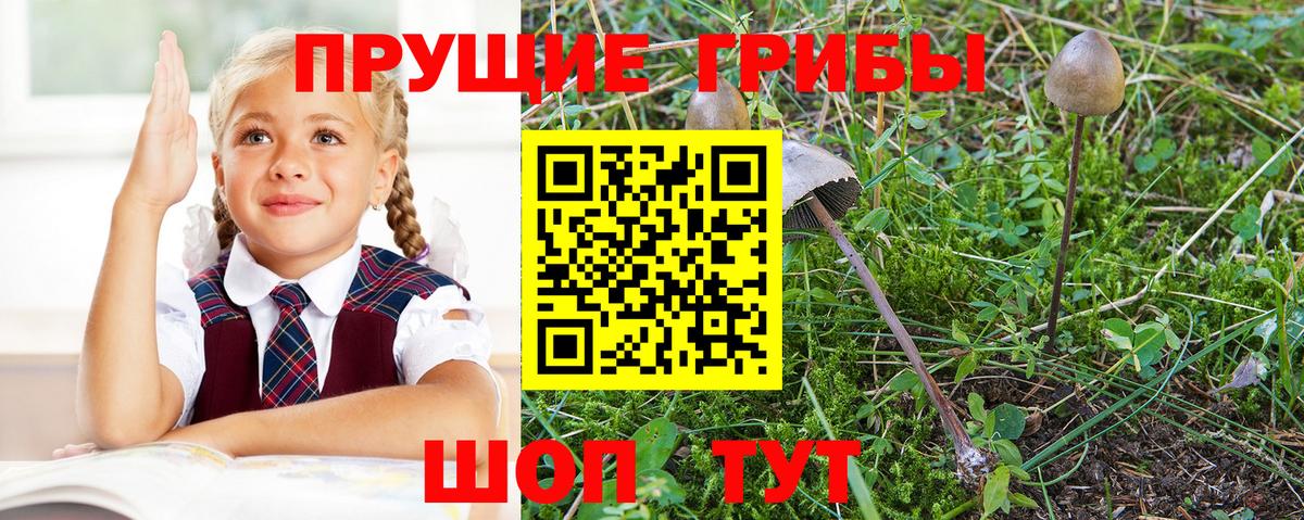 Фролово  Галлюциногенные грибы ЛСД  купить наркоту  Вход с VPN 